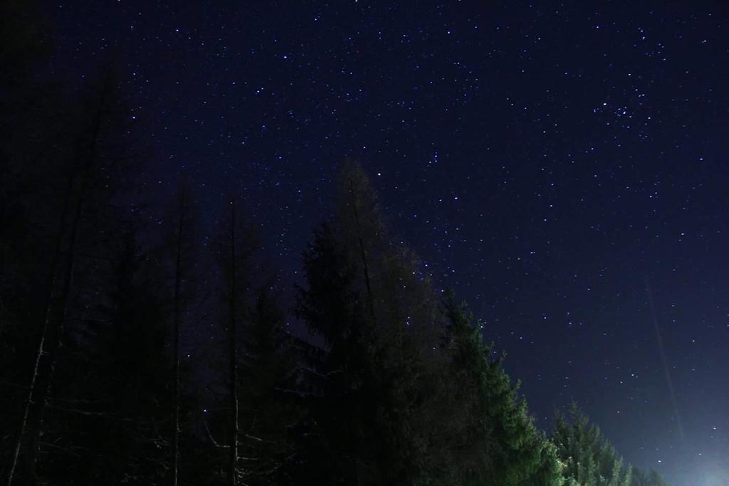 Ferienwohnung Thüringer Waldbaude Tambach-Dietharz Exterior foto