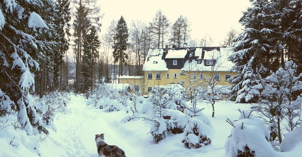 Ferienwohnung Thüringer Waldbaude Tambach-Dietharz Exterior foto