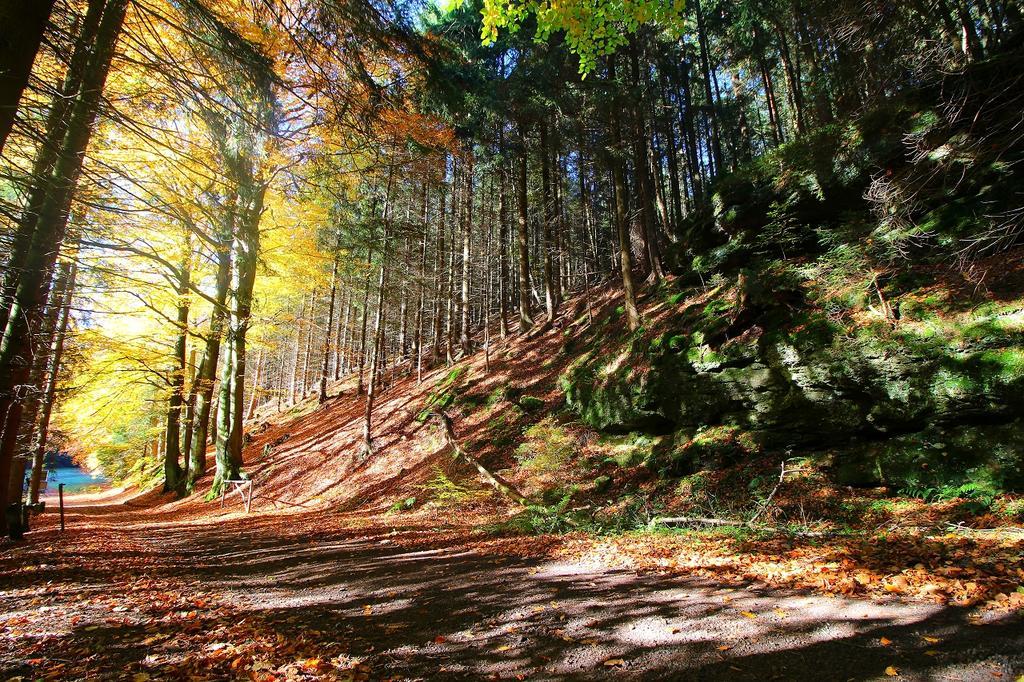 Ferienwohnung Thüringer Waldbaude Tambach-Dietharz Exterior foto