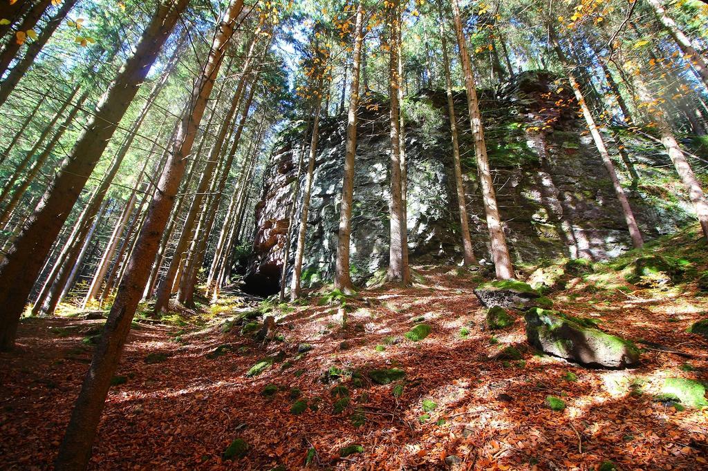 Ferienwohnung Thüringer Waldbaude Tambach-Dietharz Exterior foto