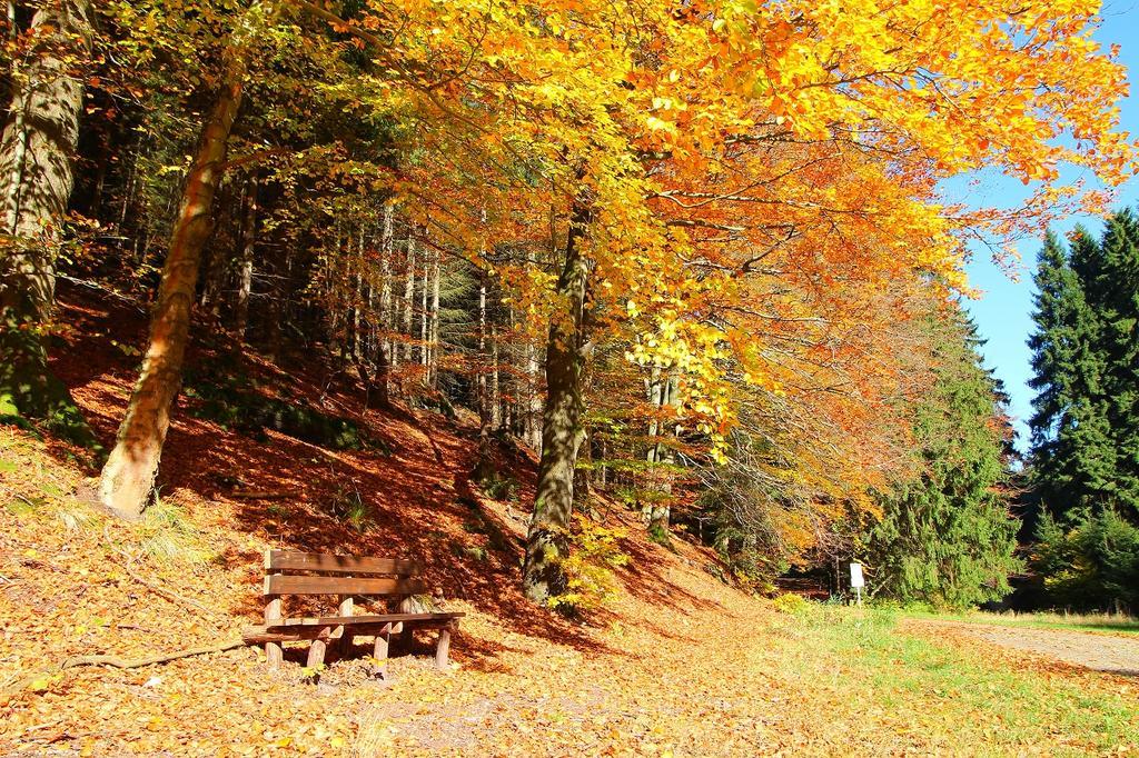 Ferienwohnung Thüringer Waldbaude Tambach-Dietharz Exterior foto